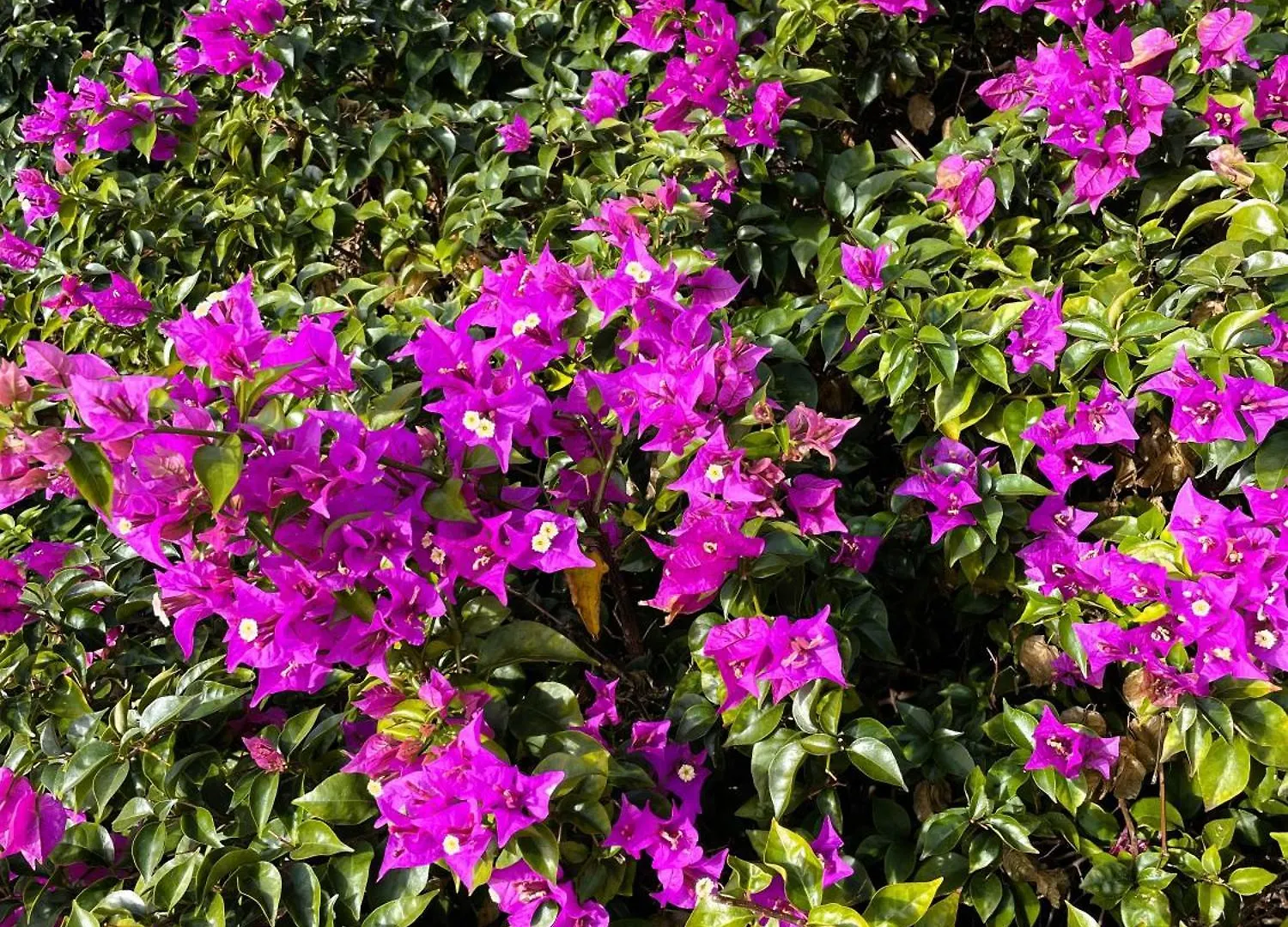 Bellissimo Appartamento Con Veranda Privata Al Centro Di 포르투로톤도
